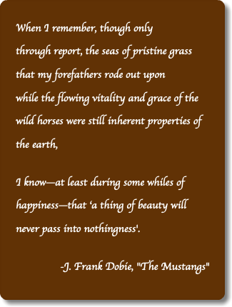 When I remember, though only  through report, the seas of pristine grass that my forefathers rode out upon  while the flowing vitality and grace of the wild horses were still inherent properties of the earth, I know—at least during some whiles of happiness—that ‘a thing of beauty will never pass into nothingness'. -J. Frank Dobie, "The Mustangs"